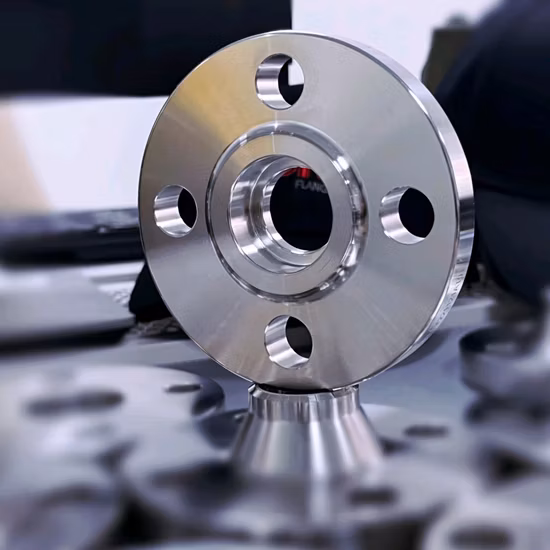 Flanges de aço inoxidável personalizados feitos conforme desenhos